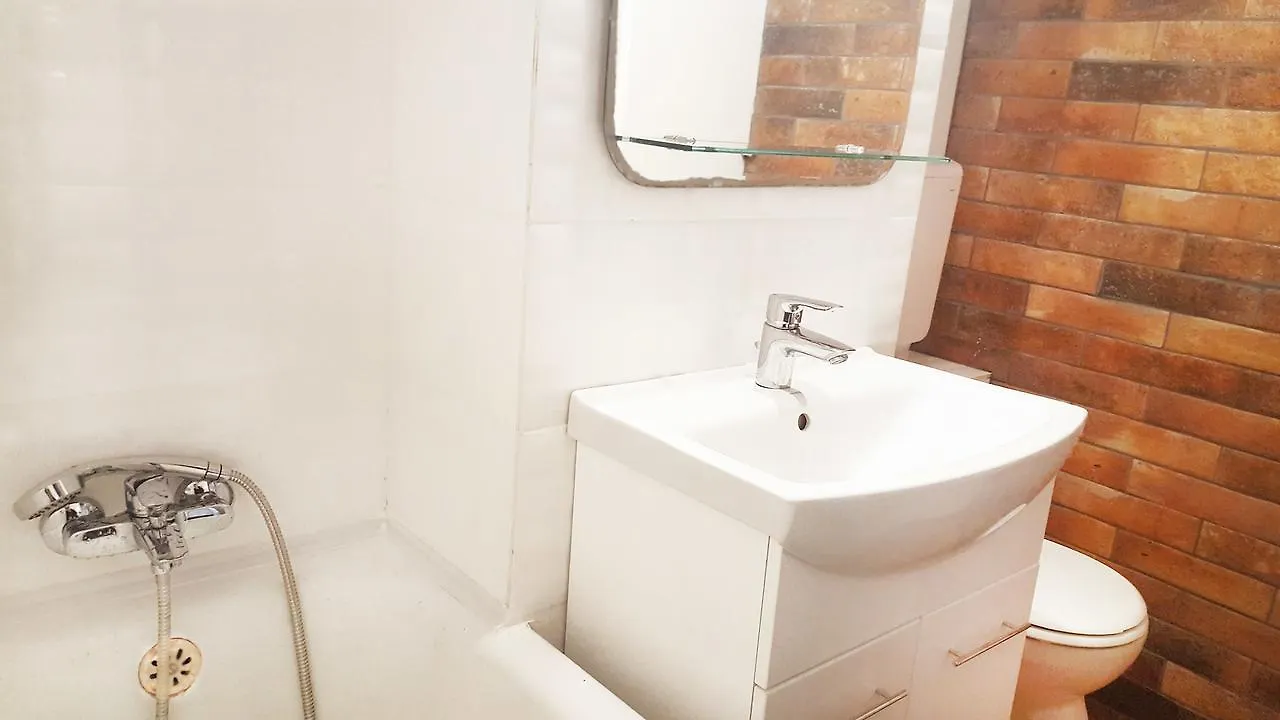 Piata Victoriei Kiseleff Park Apartment Studio Bukarest