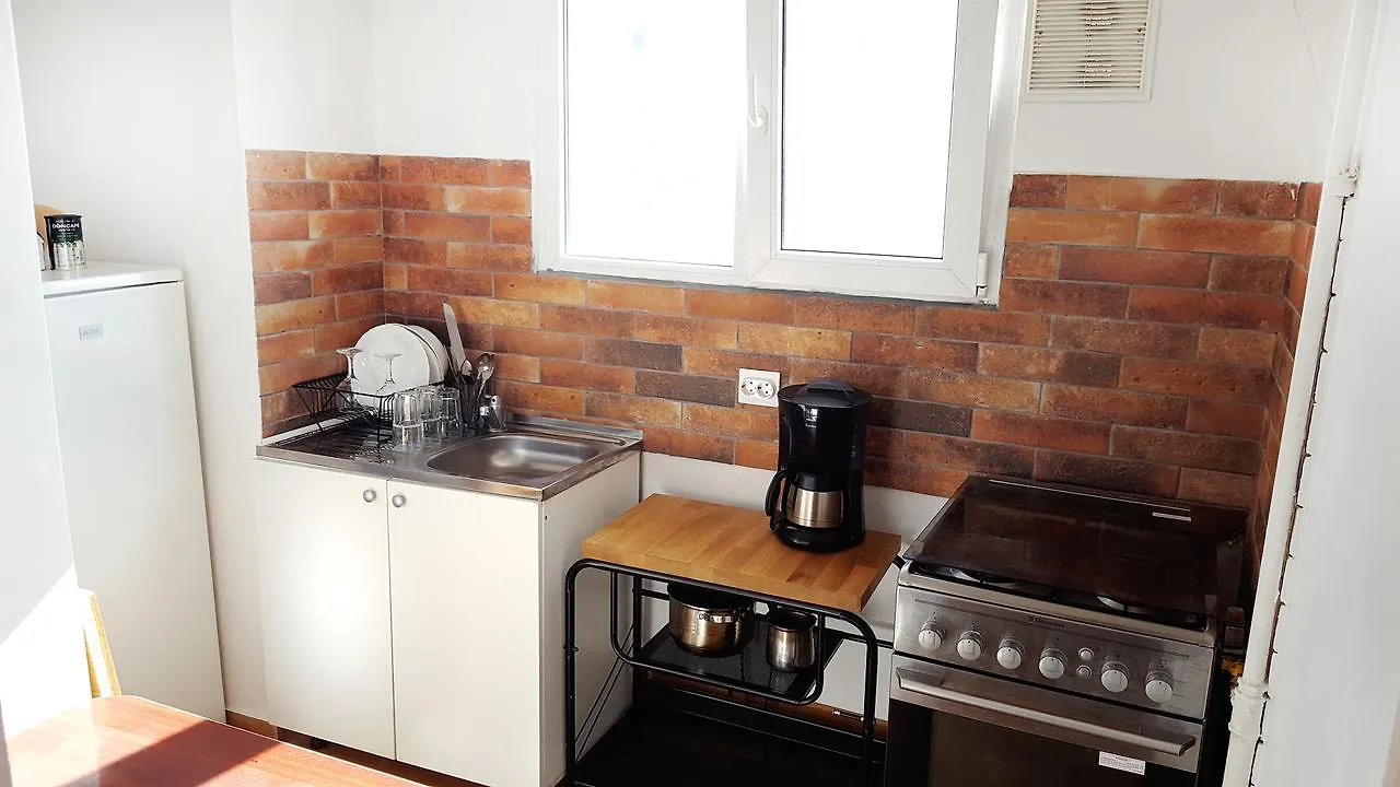 Piata Victoriei Kiseleff Park Apartment Studio Βουκουρέστι